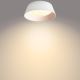 Philips - LED Stropna svjetiljka LED/14W/230V bijela