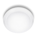 Philips - LED stropna svjetiljka LED/16W/230V 4000K