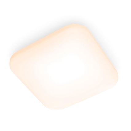 Philips - LED Stropna svjetiljka LED/24W/230V 2700K