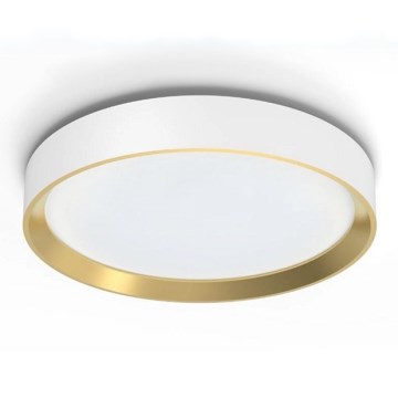 Philips - LED stropna svjetiljka s prigušivanjem HANNO SCENE SWITCH LED/24W/230V 4000K bijela