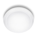 Philips - LED stropno svjetlo LED/20W/230V 4000K