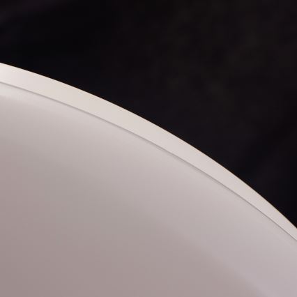 Philips - stropno LED svjetlo LED/17W/230V 2700K