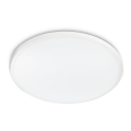 Philips - LED stropno svjetlo TWIRLY LED/17W/230V