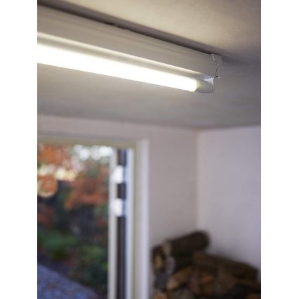 Philips - LED Fluorescentna cijev G13/16W/230V 4000K