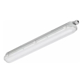 Philips - LED tehnička svjetiljka CORELINE LED/25W/230V 120 cm IP66