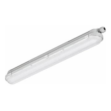 Philips - LED tehnička svjetiljka CORELINE LED/25W/230V 120 cm IP66