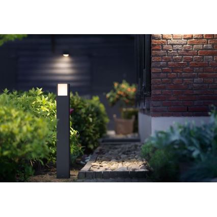 Philips - LED Vanjska lampa ARBOUR LED/3,8W/230V 77 cm 2700K IP44