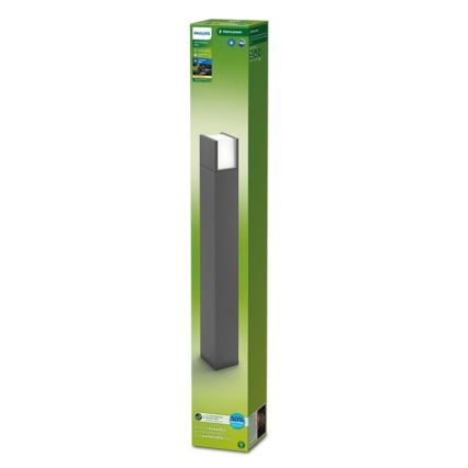 Philips - LED Vanjska lampa ARBOUR LED/3,8W/230V 77 cm 2700K IP44