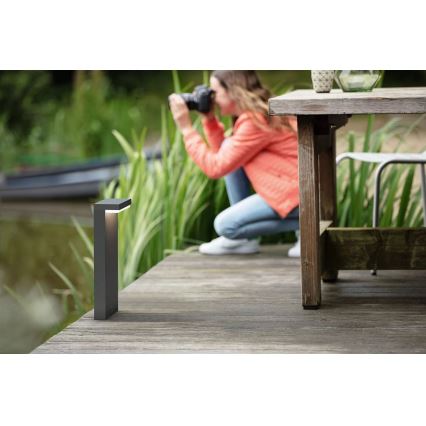 Philips - LED Vanjska lampa BUSTAN LED/3,8W/230V 2700K 40 cm IP44