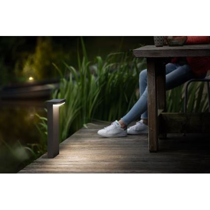 Philips - LED Vanjska lampa BUSTAN LED/3,8W/230V 2700K 40 cm IP44