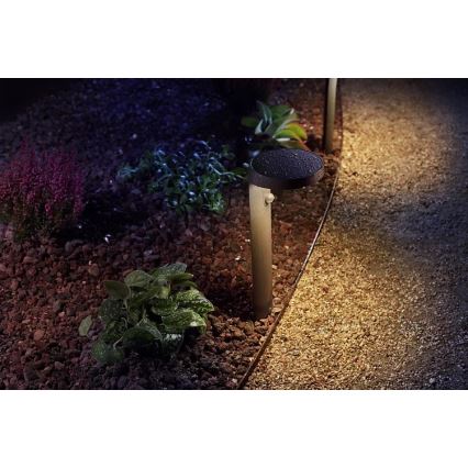 Philips - LED Vanjska lampa sa senzorom LED/9W/230V 2700K IP44