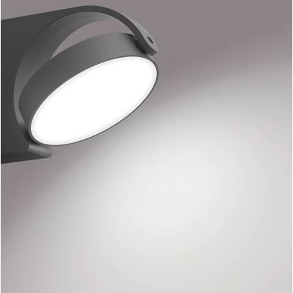 Philips - LED Vanjska zidna svjetiljka LED/7W/230V 4000K IP44