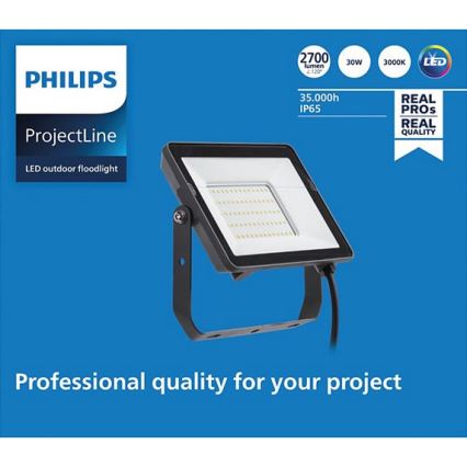 Philips - LED Vanjski reflektor PROJECTLINE LED/30W/230V IP65 3000K