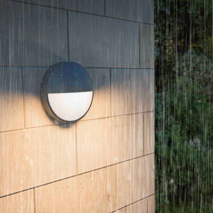 Philips - LED vanjsko zidno svjetlo CAPRICORN LED/4,3W/230V IP44