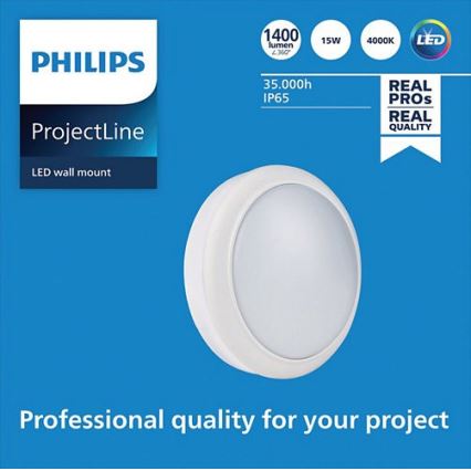 Philips - LED Zidna svjetiljka PROJECTLINE LED/15W/230V IP65