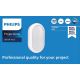 Philips - LED Zidna svjetiljka PROJECTLINE LED/15W/230V IP65