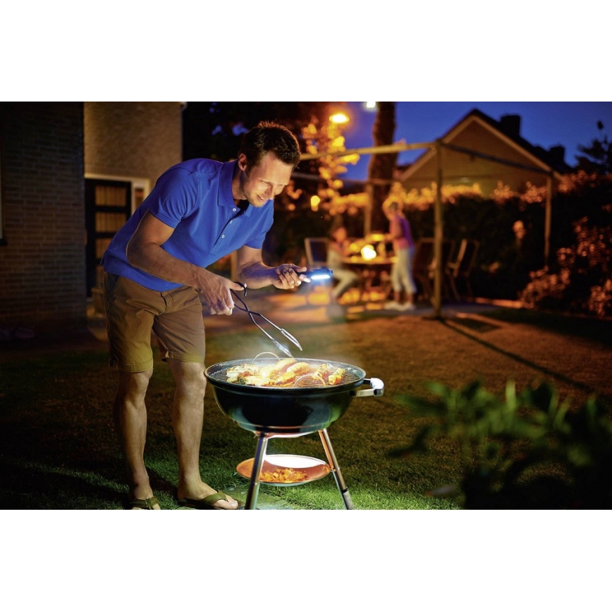 Philips LPL18B1 - LED Radna lampa 5xLED/1,3W/3xAAA IP54