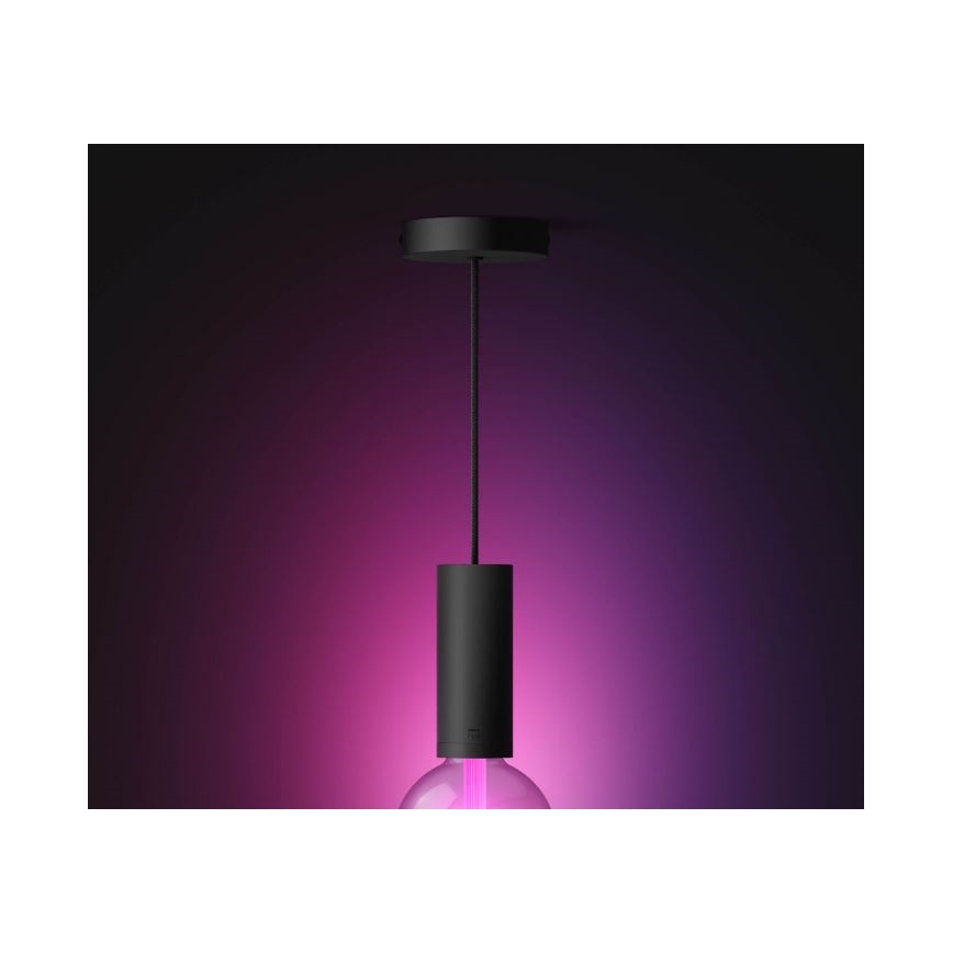 Philips - Luster na sajli Hue GUIDE 1xE27/60W/230V