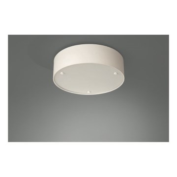 Philips Massive 30175/38/10 - Stropna svjetiljka SUSAN 2xE27/23W