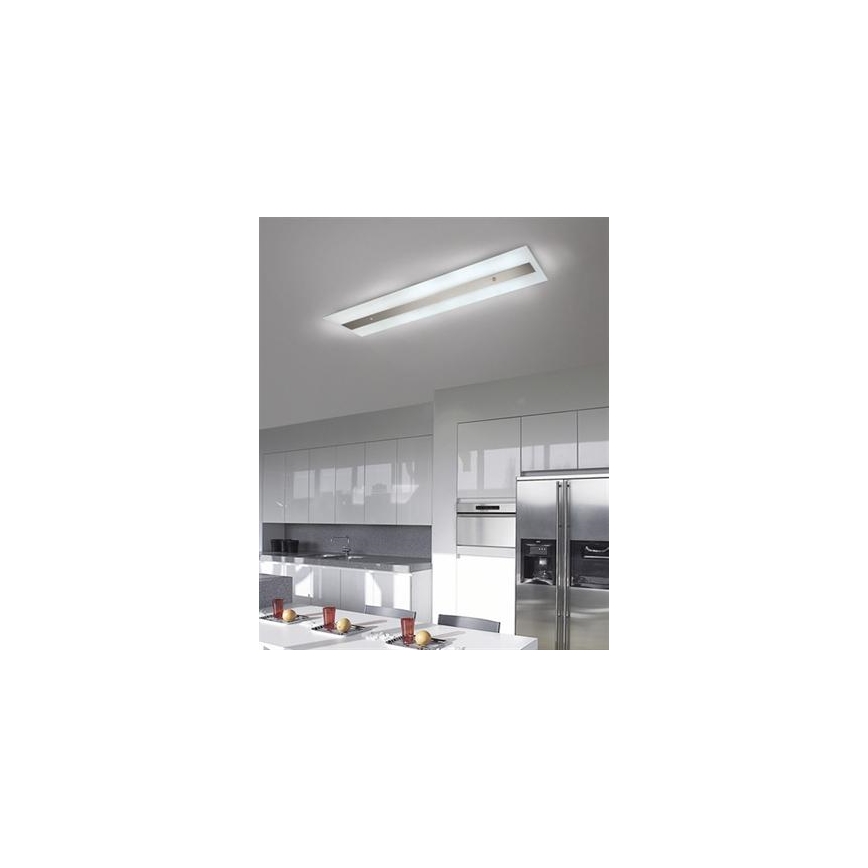 Philips Massive 85115/14/31 - Fluorescentna svjetiljka DECOLINE 2xG5/14W/230V