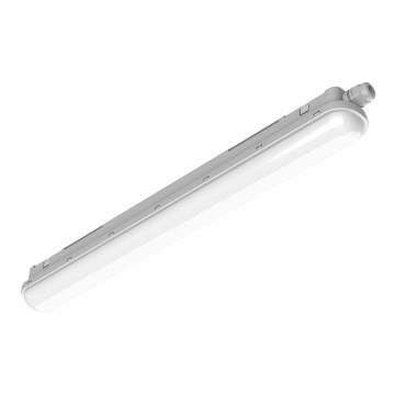 Philips Pila - LED tehničko rasvjetno tijelo LED/40W/230V 120 cm IP65
