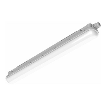Philips Pila - LED tehničko svjetlo LED/60W/230V 150 cm IP65