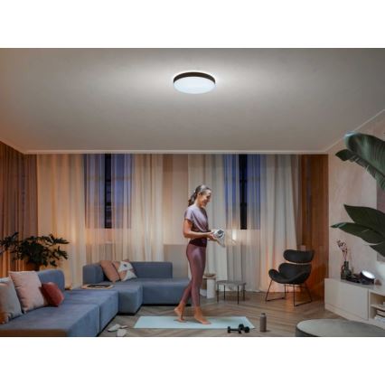 Philips - Hue LED stropno svjetlo s prigušivanjem LED/33,5W/230V 2200-6500K pr. 425 mm crna + daljinski upravljač