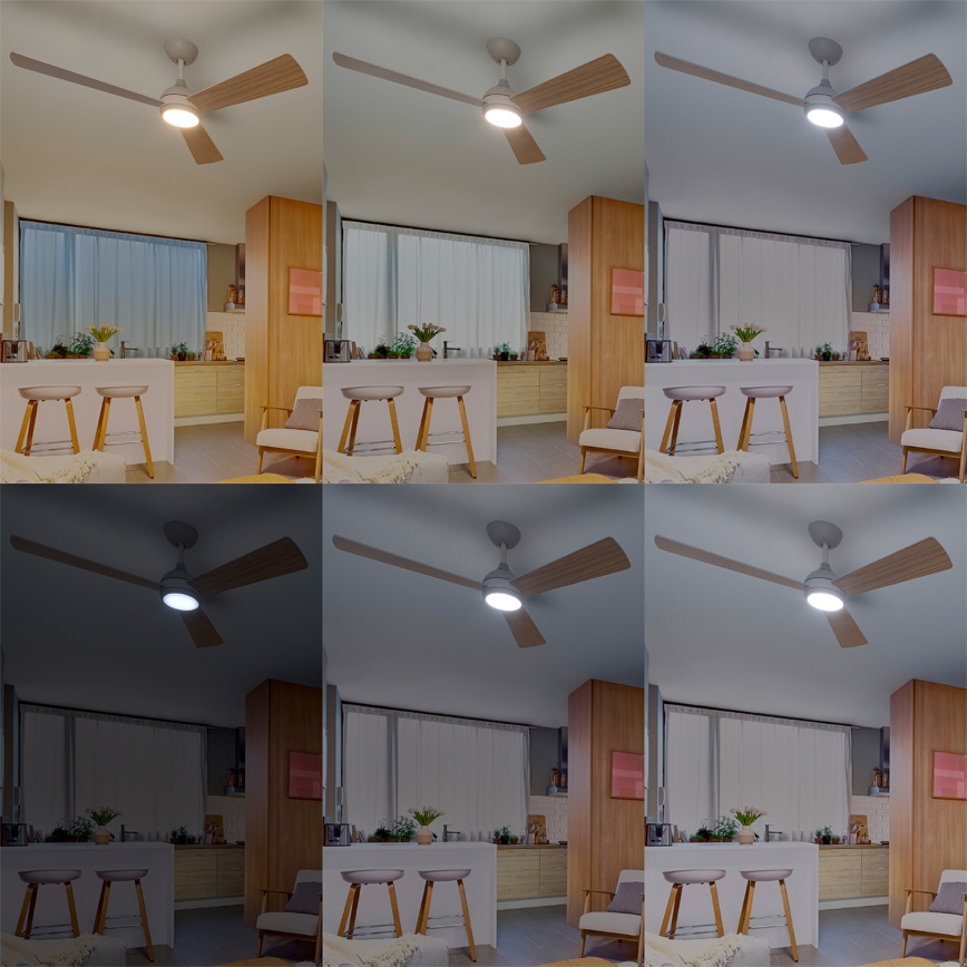 Philips - LED stropni ventilator CIVX LED/24W/230V s mogućnošću prigušivanja + daljinsko upravljanje