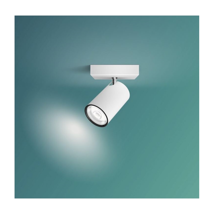 Philips - Reflektorska svjetiljka KOSIPO 1xGU10/5,5W/230V bijela