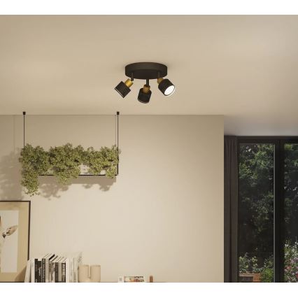Philips - Reflektorska svjetiljka NIALL 3xGU10/5W/230V crna/mesing