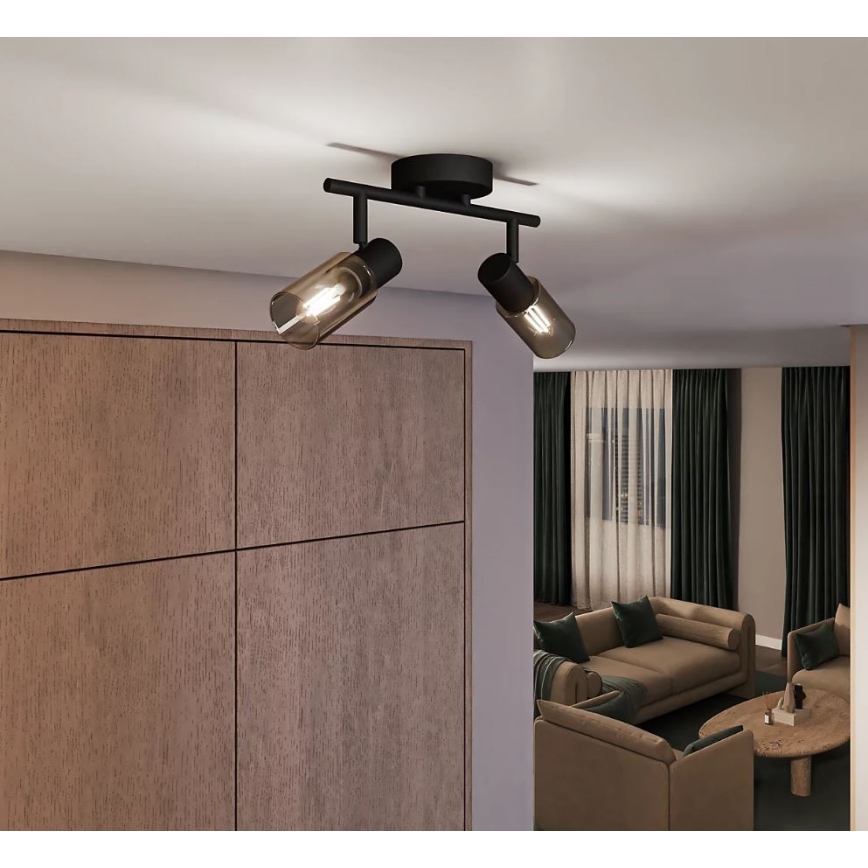 Philips - Reflektorska svjetiljka PALMS 2xE14/25W/230V