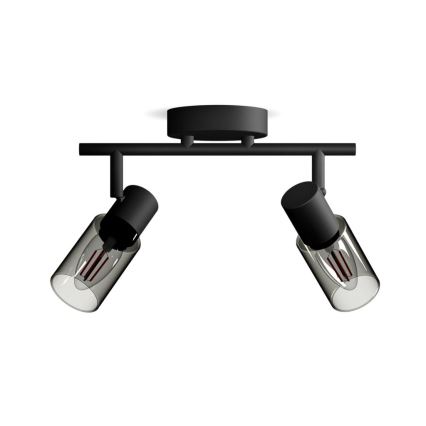 Philips - Reflektorska svjetiljka PALMS 2xE14/25W/230V