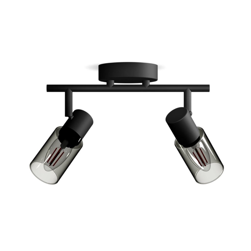 Philips - Reflektorska svjetiljka PALMS 2xE14/25W/230V