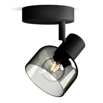 Philips - Reflektorska svjetiljka SLEET 1xE14/25W/230V