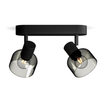 Philips - Reflektorska svjetiljka SLEET 2xE14/25W/230V