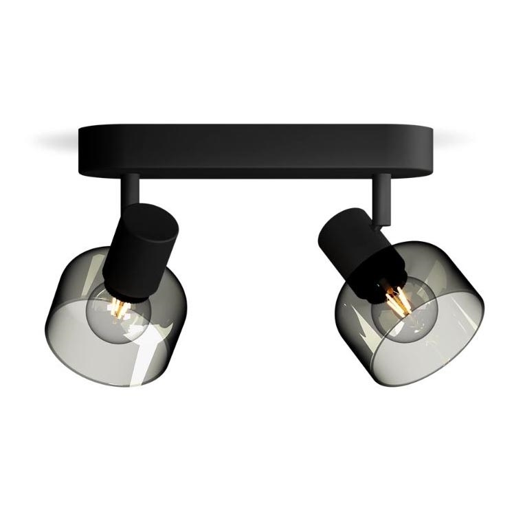 Philips - Reflektorska svjetiljka SLEET 2xE14/25W/230V