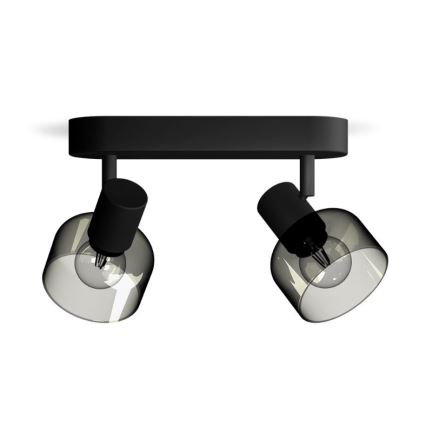 Philips - Reflektorska svjetiljka SLEET 2xE14/25W/230V