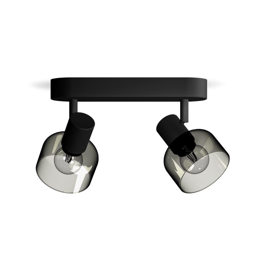 Philips - Reflektorska svjetiljka SLEET 2xE14/25W/230V