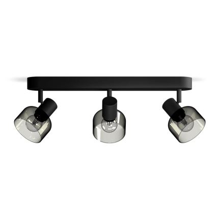 Philips - Reflektorska svjetiljka SLEET 3xE14/25W/230V