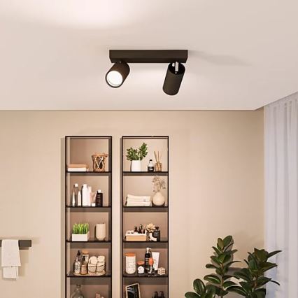 Philips - Reflektorska svjetiljka za kupaonicu IDRIS 2xGU10/5W/230V IP44 crna