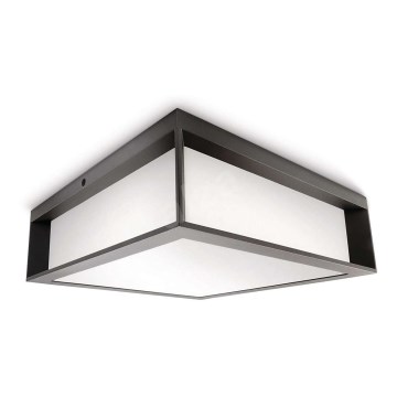 Philips - Vanjska stropna svjetiljka 2xE27/14W/230V IP44