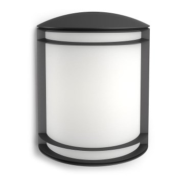 Philips - Vanjsko zidno LED svjetlo/6W/230V IP44