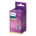 Philips VINTAGE LED žarulja P45 E27/4,3W/230V 2700K