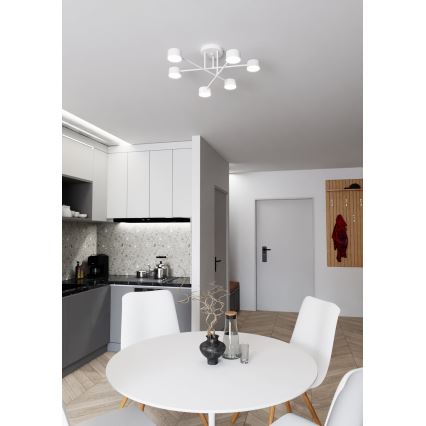 Plafonska svjetiljka HALO 6xGX53/10W/230V bijela