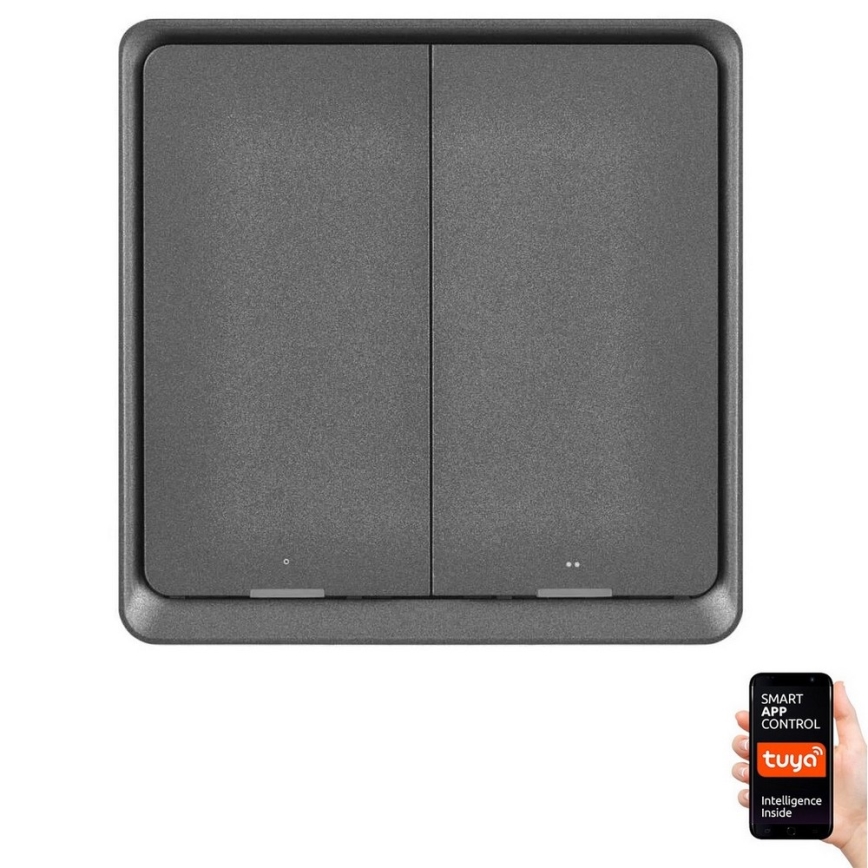 Prekidač s 2 tipke GoSmart 1xCR2430 Tuya crna