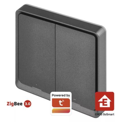 Prekidač s 2 tipke GoSmart 1xCR2430 Tuya crna