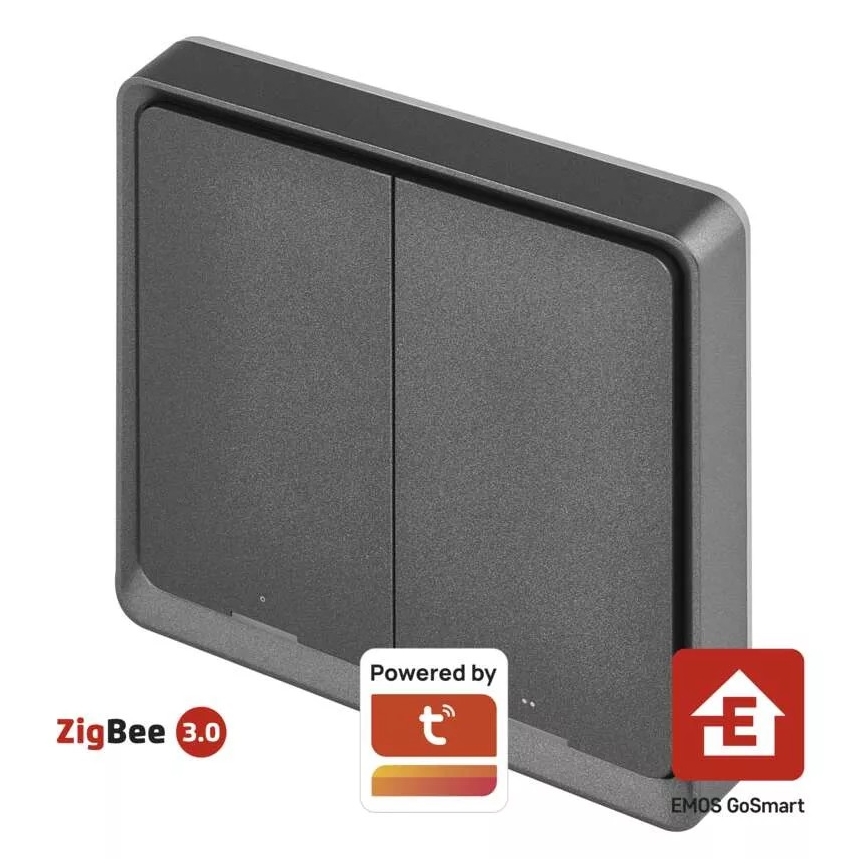Prekidač s 2 tipke GoSmart 1xCR2430 Tuya crna