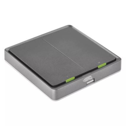 Prekidač s 2 tipke GoSmart 1xCR2430 Tuya crna