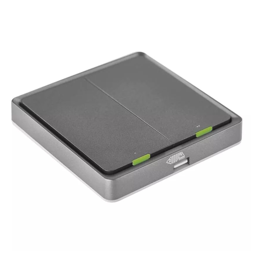 Prekidač s 2 tipke GoSmart 1xCR2430 Tuya crna