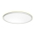 Prezent 27304 - LED stropna svjetiljka za kupaonicu CORDIA LED/12W/230V 3000/6000K IP54 bijela